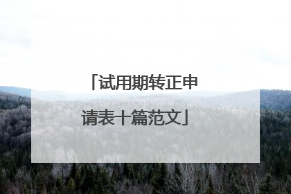 试用期转正申请表十篇范文