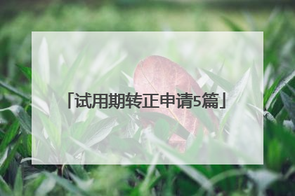 试用期转正申请5篇