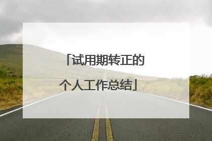 试用期转正的个人工作总结