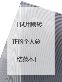 试用期转正的个人总结范本