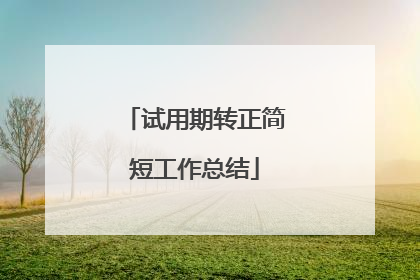 试用期转正简短工作总结