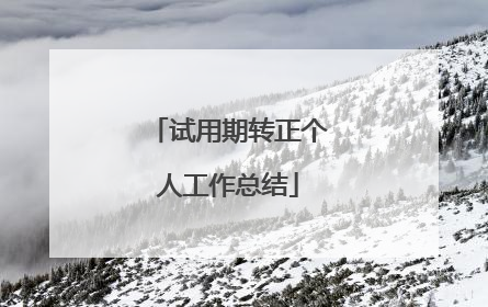 试用期转正个人工作总结