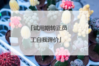 试用期转正员工自我评价
