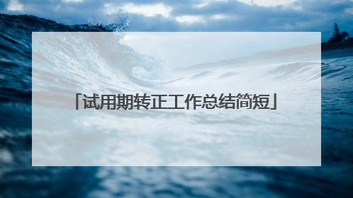 试用期转正工作总结简短