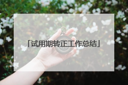 试用期转正工作总结