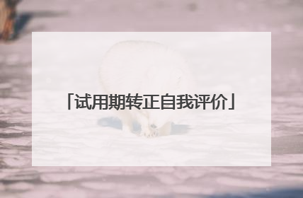 试用期转正自我评价