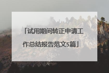 试用期间转正申请工作总结报告范文5篇