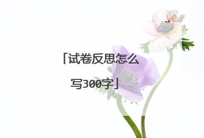 试卷反思怎么写300字