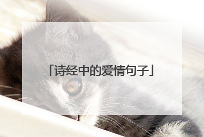 诗经中的爱情句子