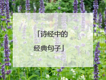 诗经中的经典句子