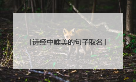 诗经中唯美的句子取名