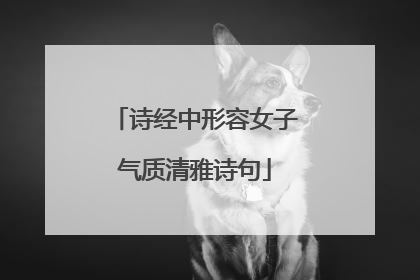 诗经中形容女子气质清雅诗句