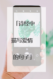 诗经中描写爱情的句子