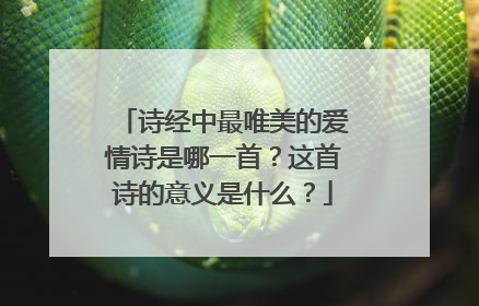 诗经中最唯美的爱情诗是哪一首?这首诗的意义是什么?