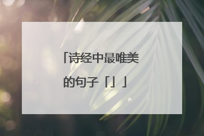 诗经中最唯美的句子「」