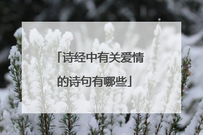 诗经中有关爱情的诗句有哪些
