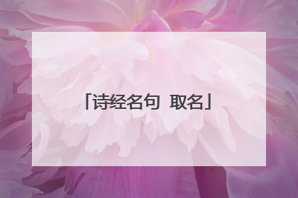 诗经名句 取名