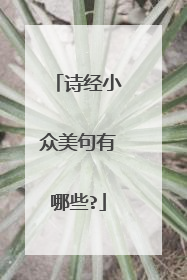 诗经小众美句有哪些?