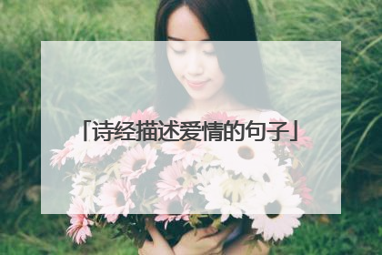 诗经描述爱情的句子