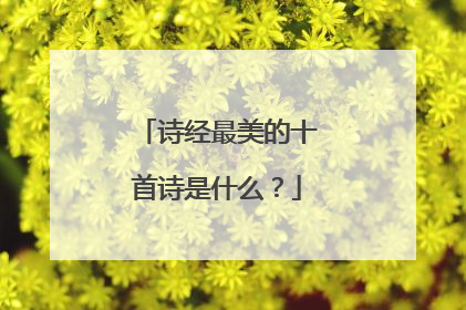 诗经最美的十首诗是什么?
