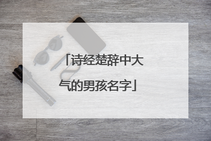 诗经楚辞中大气的男孩名字