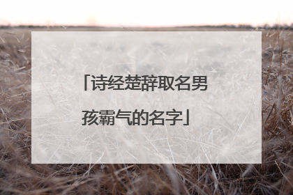 诗经楚辞取名男孩霸气的名字