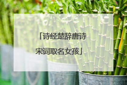诗经楚辞唐诗宋词取名女孩