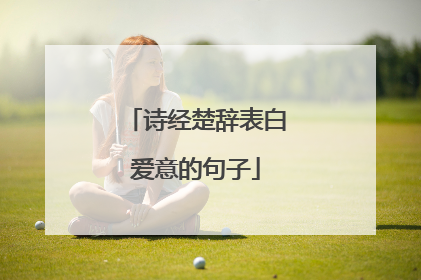 诗经楚辞表白爱意的句子