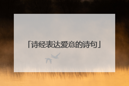 诗经表达爱意的诗句