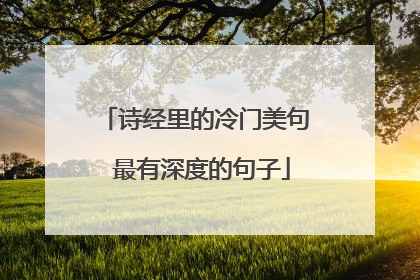 诗经里的冷门美句 最有深度的句子