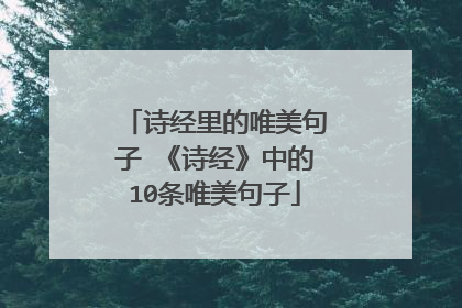 诗经里的唯美句子 《诗经》中的10条唯美句子