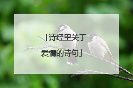 诗经里关于爱情的诗句