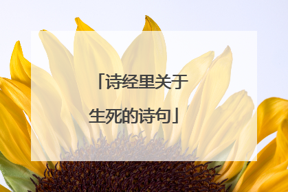 诗经里关于生死的诗句
