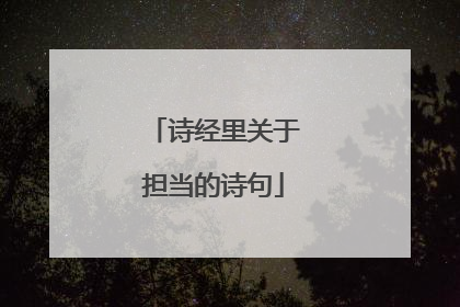 诗经里关于担当的诗句