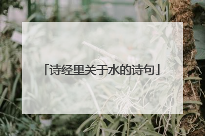 诗经里关于水的诗句