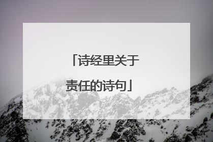 诗经里关于责任的诗句