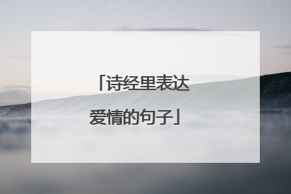 诗经里表达爱情的句子