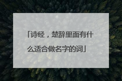 诗经，楚辞里面有什么适合做名字的词