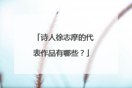 诗人徐志摩的代表作品有哪些?