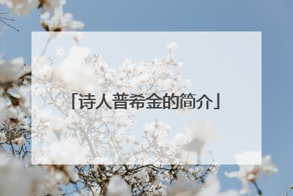 诗人普希金的简介