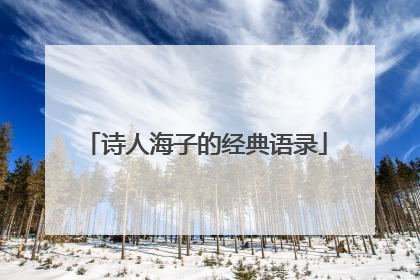 诗人海子的经典语录
