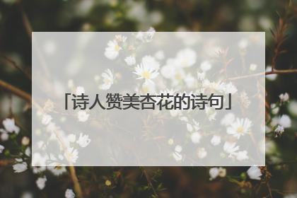 诗人赞美杏花的诗句