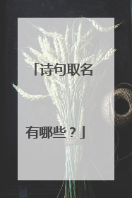 诗句取名有哪些?