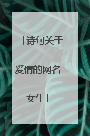 诗句关于爱情的网名女生