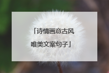 诗情画意古风唯美文案句子