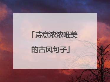 诗意浓浓唯美的古风句子