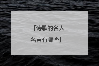 诗歌的名人名言有哪些