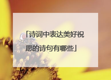 诗词中表达美好祝愿的诗句有哪些
