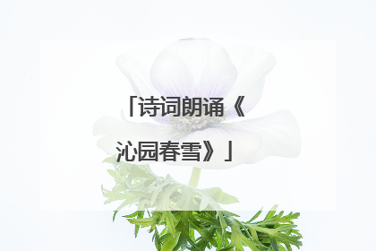 诗词朗诵《沁园春雪》