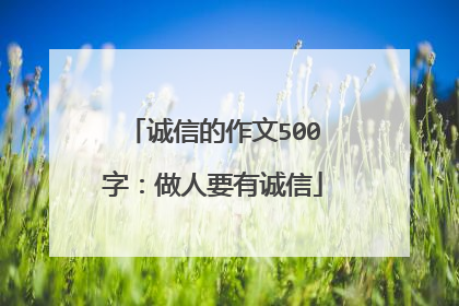 诚信的作文500字：做人要有诚信